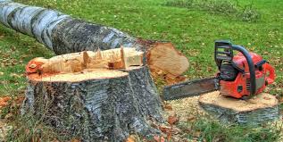 Best Utility Line Clearance  in Rancho Viejo, TX